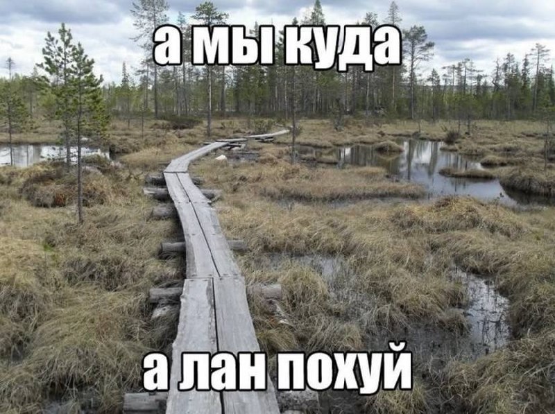 как ощущается каждая встреча с лп, когда вы уже не планируете ничего, а просто по ходу решаете, куда