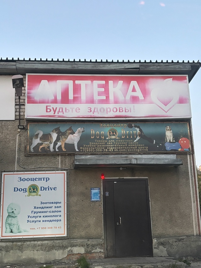 Ищу девушку, работает в магазине для питомцев, светлен?...