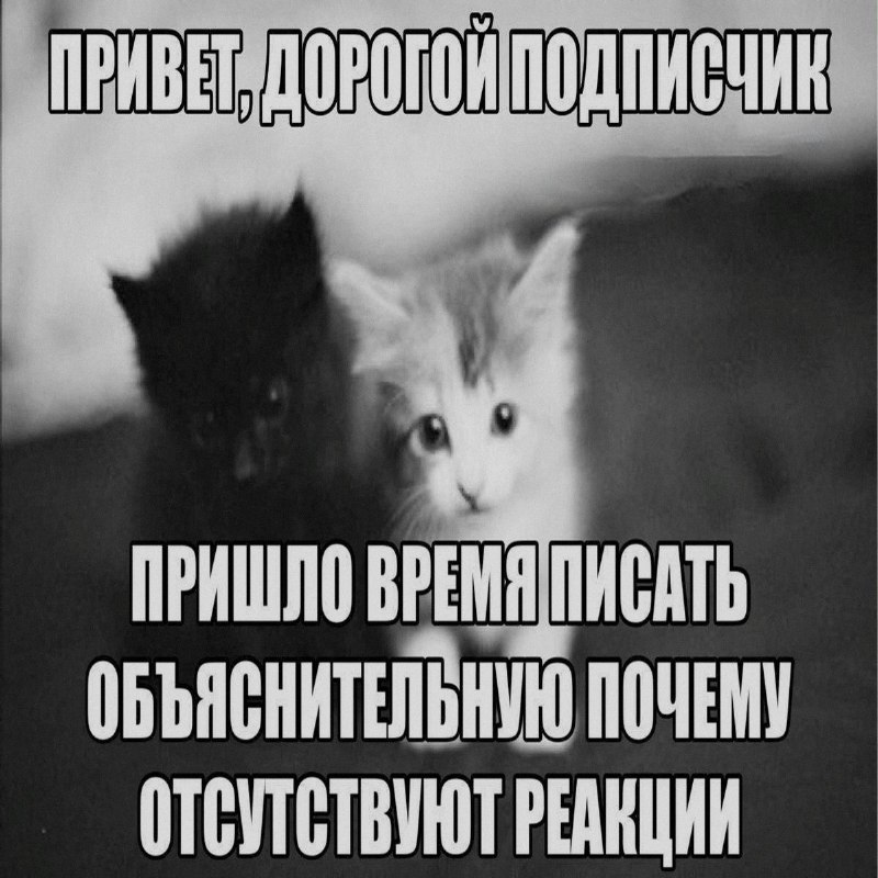 Ночная подборочка
Спать, режим
