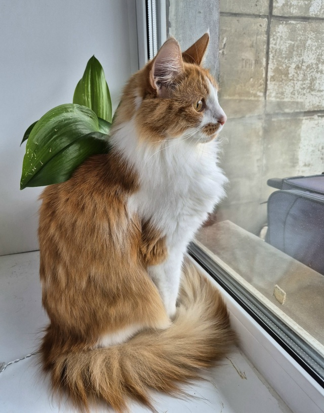 Кузенька любимый 🥰