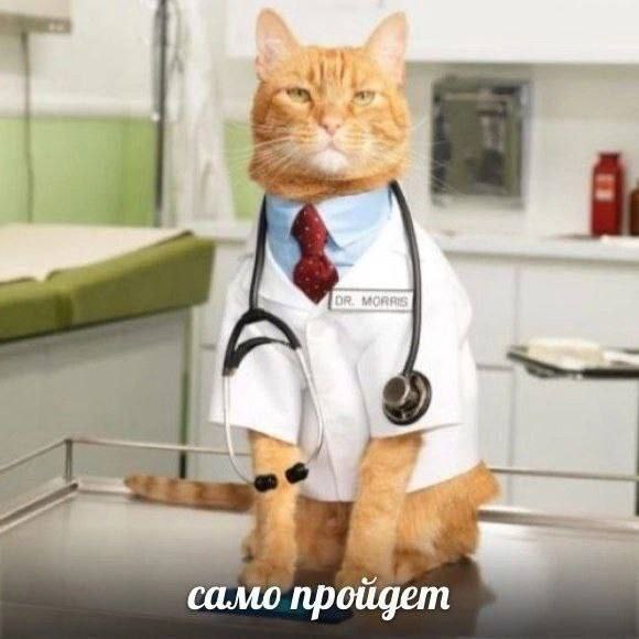 Утренняя подборочка