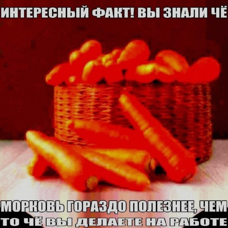 Ночная подборочка
Спать, режим