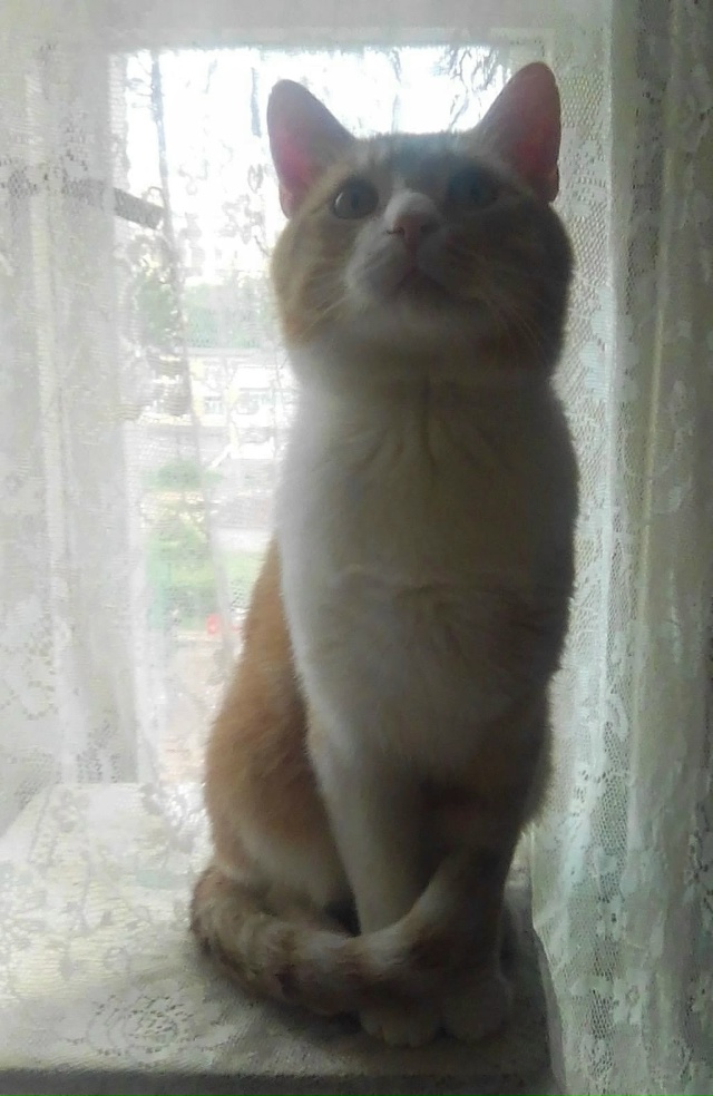 1) Кто ж так строит дома ?! Ромка 9 лет
2) Какой мне стих ва?...