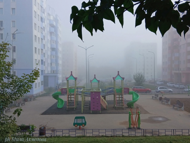 Утро туманное...🌫Всем хорошего дня и отличного настро?...