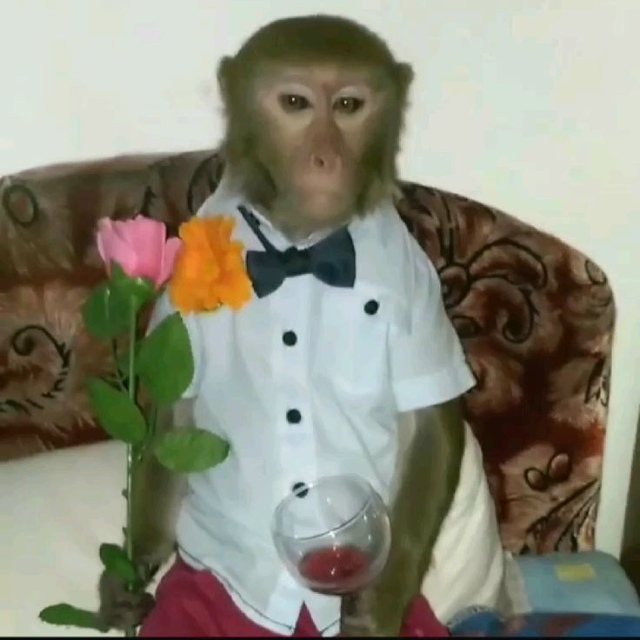 В чём же её ошибка?