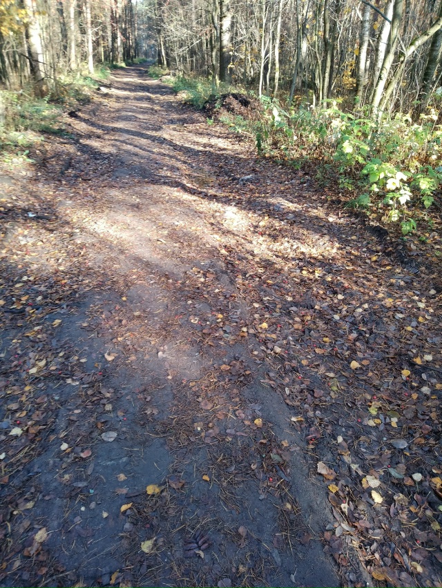 Добрый день, отрадненцы. Возник вопрос к тем, кто в курс...
