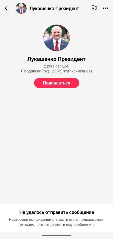 Лукашенко закрыл личные сообщения в TikTok уже через сутки после обещания лично разобраться со всеми