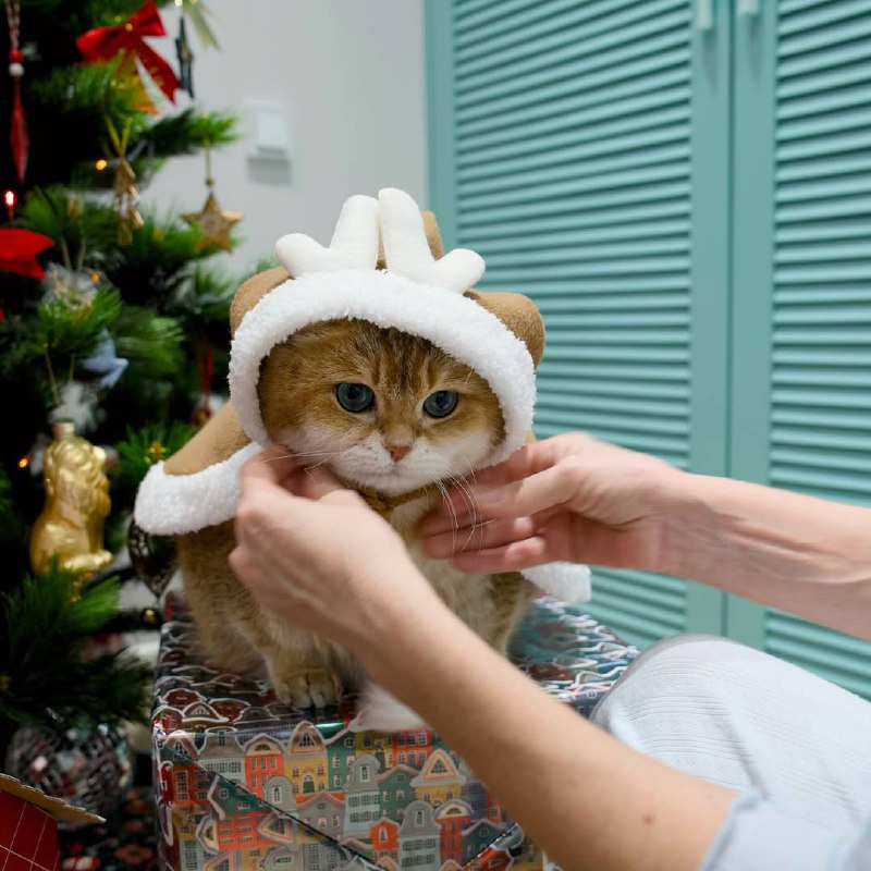 С новым 2026 годом!