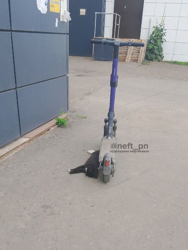 Покатался, надо и поспать
