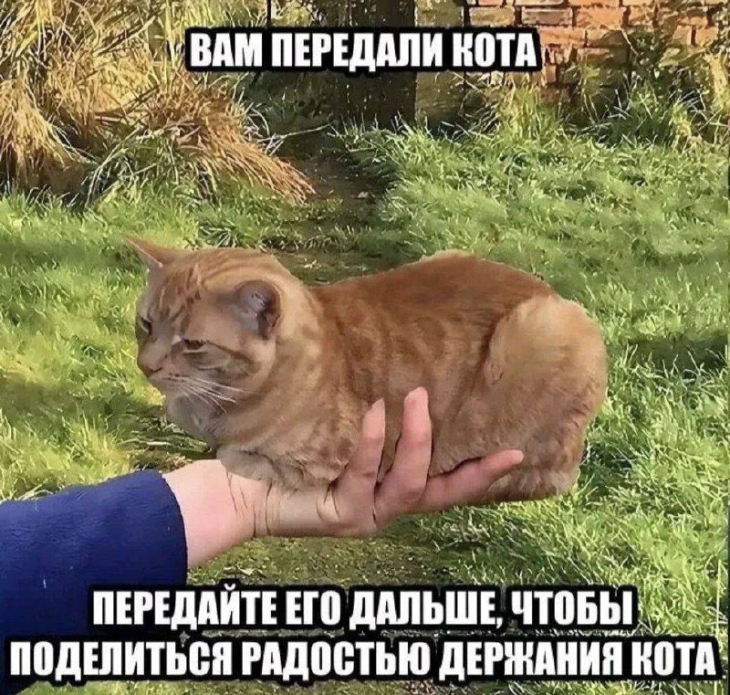 Утренняя подборочка