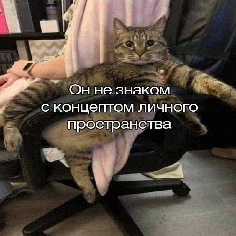 Утренняя подборочка