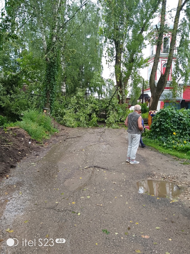 На ул Первомайская д. 1 упало дерево на проезжую часть д...