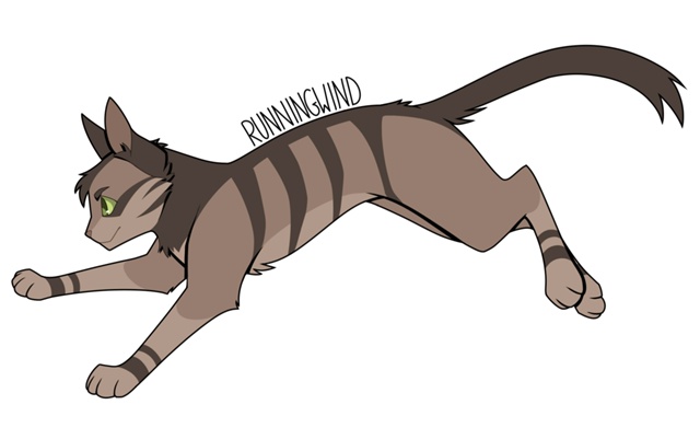 Ветрогон
© skyperch
#KV_ZZ_ART