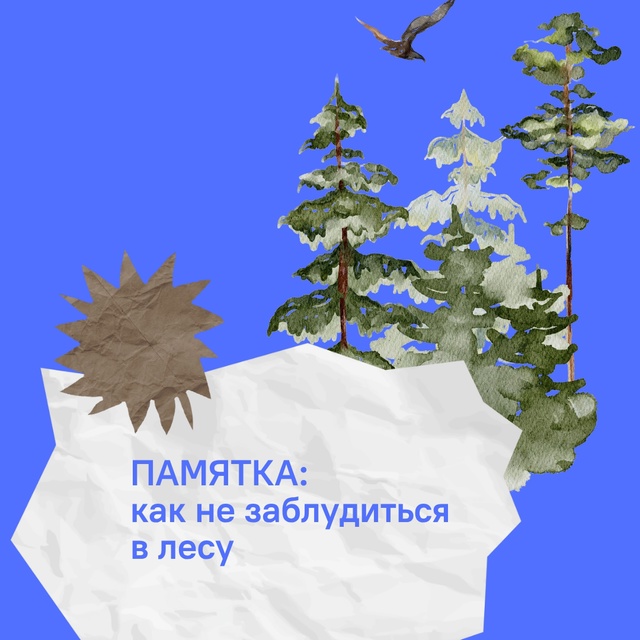 В Костромской области начали пропадать грибники…
Люб...