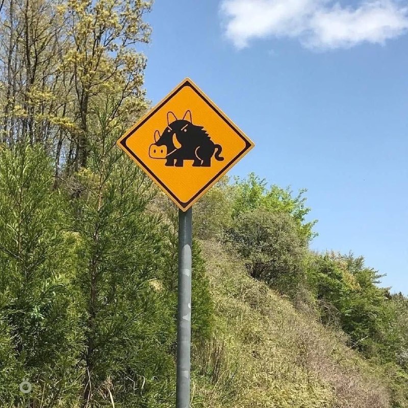 В Японии дорожные знаки предупреждают не только о поворотах и машинах, но и о животных — на трассах