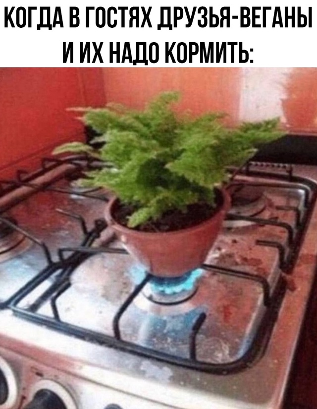 понравится им такое?