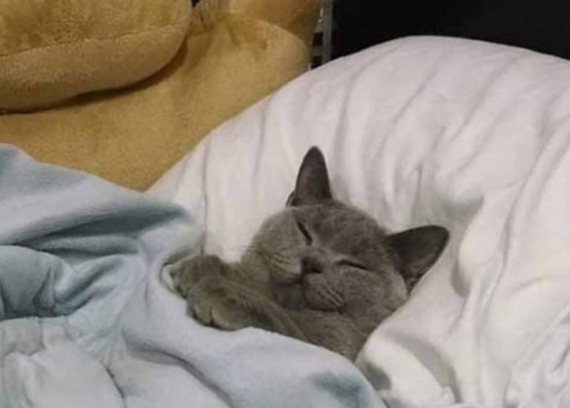 Я: «мне нужно чаще гулять на свежем воздухе, пока погода позволяет»
Также я, когда у меня есть сво