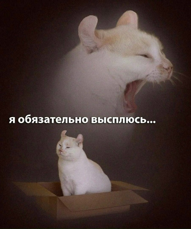И мы тоже в это верим)