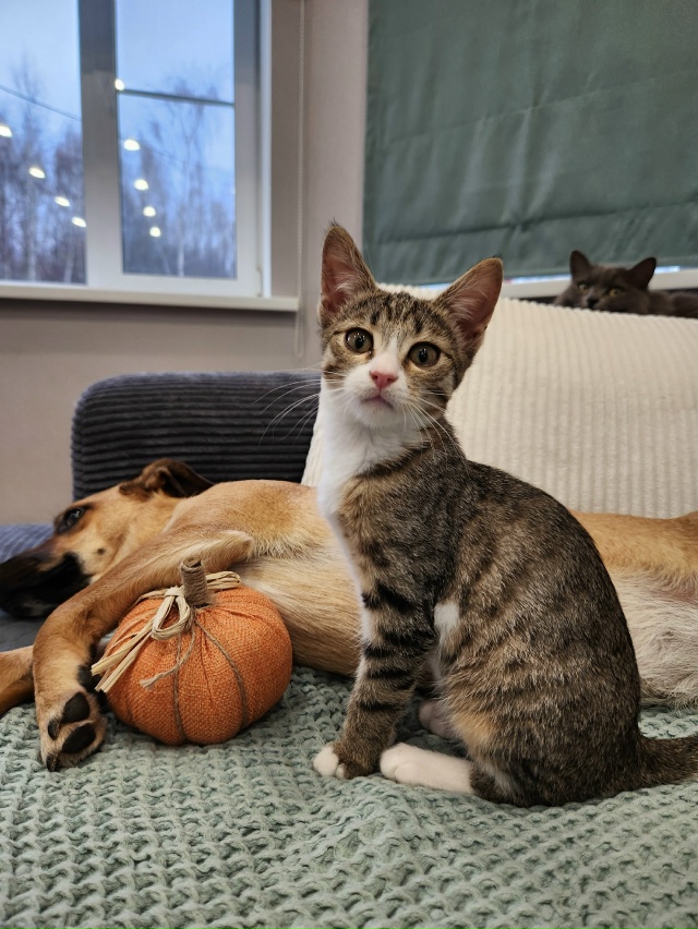 ❗️ВОЛГОРЕЧЕНСК ❗️
МАЛЕНЬКАЯ БАНДИТКА ПО ИМЕНИ ЛЕРА ...