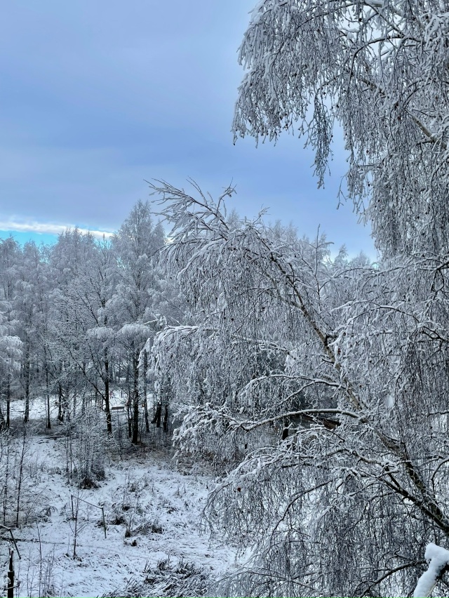 С добрым утром Сафоново 🫶🏼