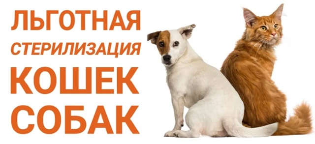 ‼️📣 16 и 17 августа состоится льготная СТЕРИЛИЗАЦИЯ ЖИ...