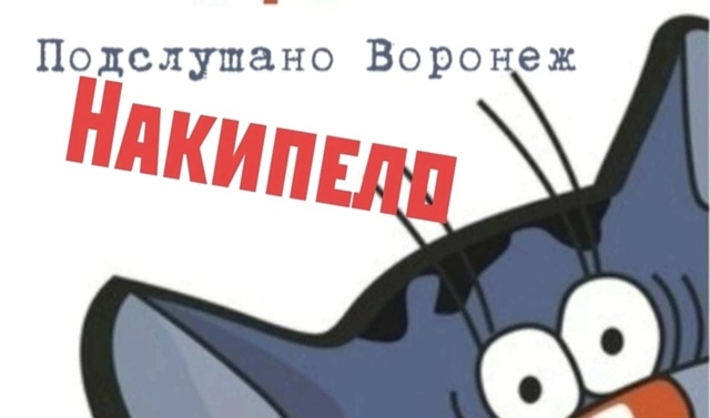 Всё как есть о работе общественного транспорта в Ворон...