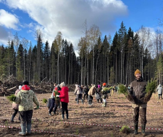 🌲 В Пермском крае пoявилась роща в память о Великой От?...
