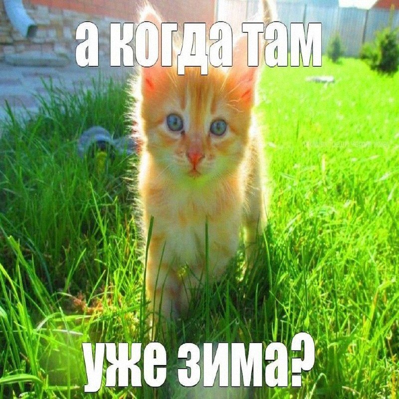 Утренняя подборочка