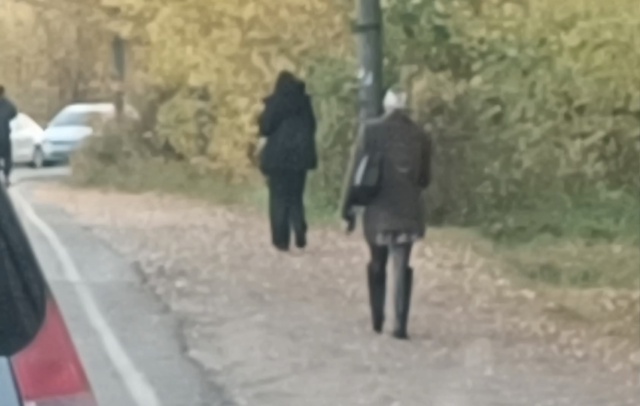 Девушка, проходила сегодня возле Парка Победы, примерн...