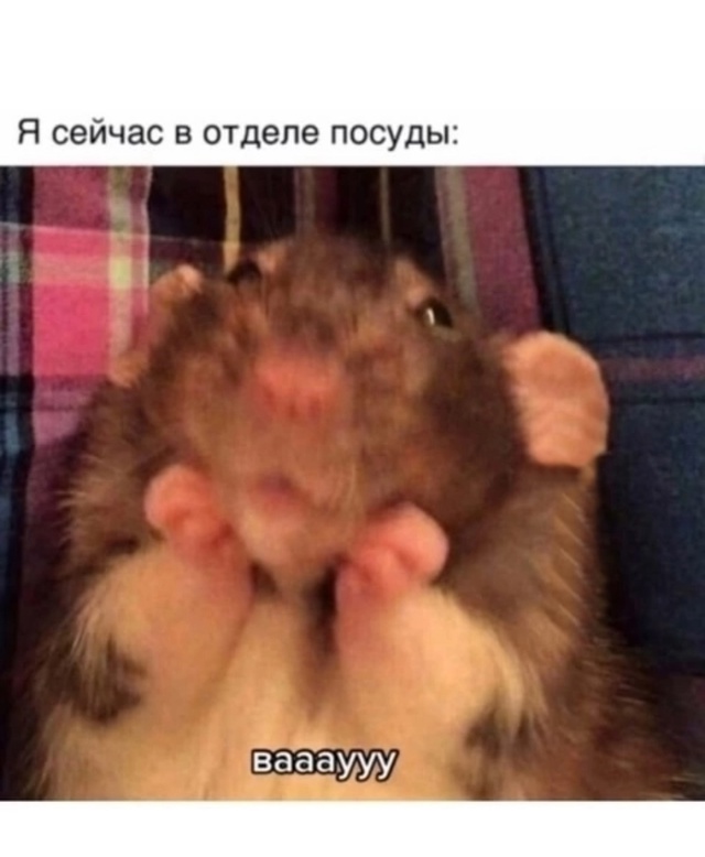 Ничего лучше не могло быть