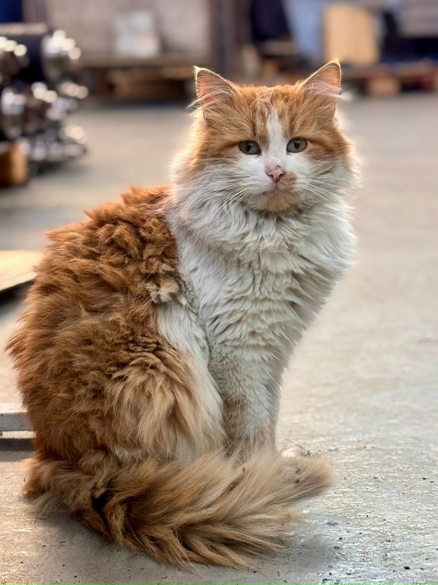 Твой невозмутимый вид, когда тебя спросили: «Ты сюда ра...