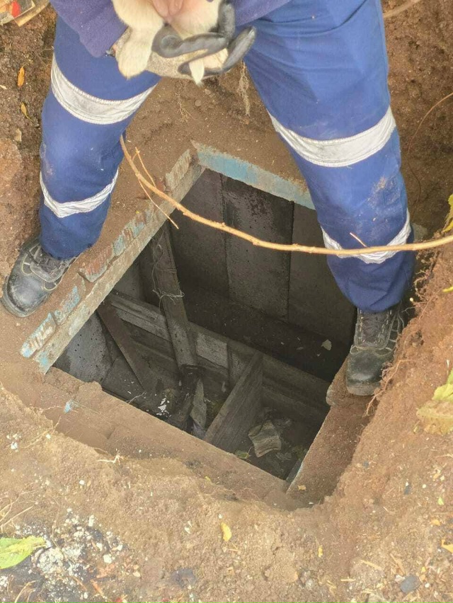 ? Спасатели достали щенка из заброшенного погреба в С...