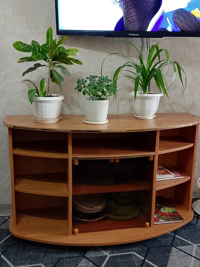 Продам тумбочку под телевизор цена 2 т.р. Холодильник О...