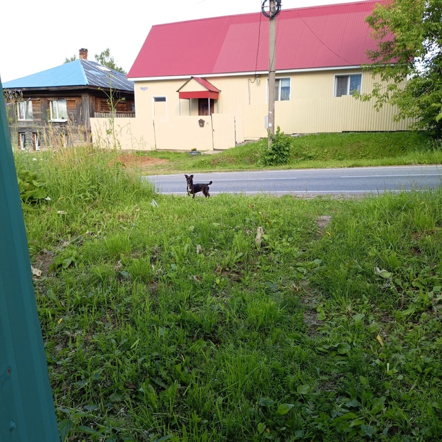 Ежедневно в 21 час по местному времени Ваши вопросы.
1⃣ ...