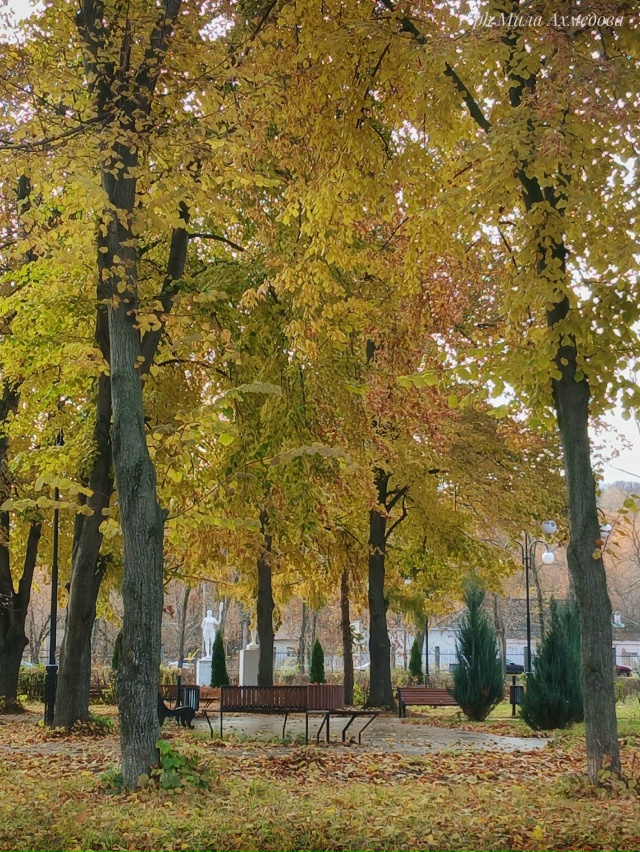 Больничный осенний октябрьский парк.
Отражение дер...