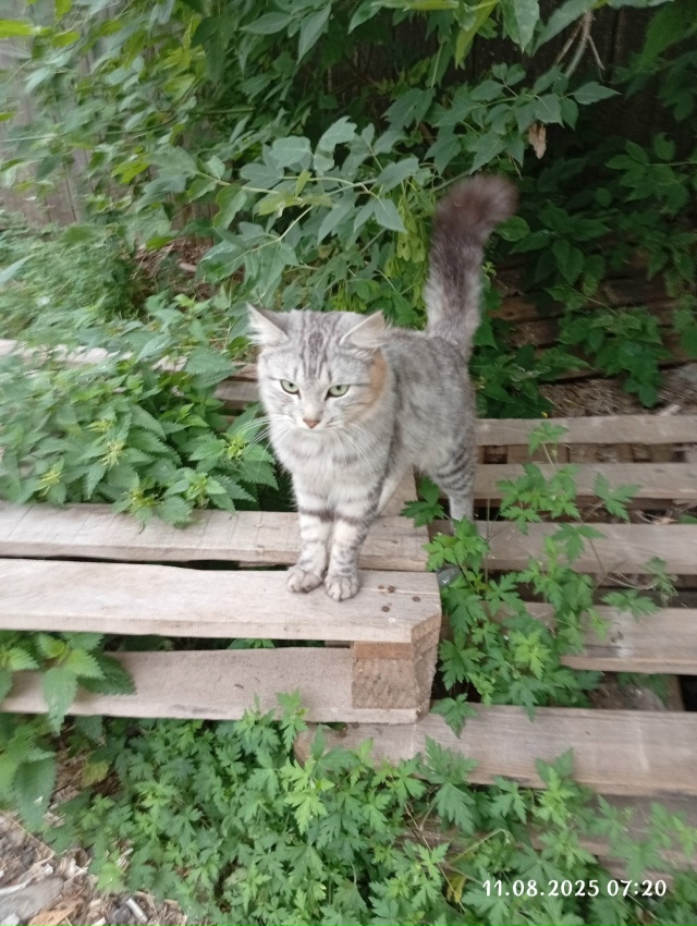 Здравствуйте, может кто то потерял. Находится возле см?...