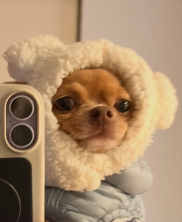 Ну каков красавчик, ну вы только посмотрите