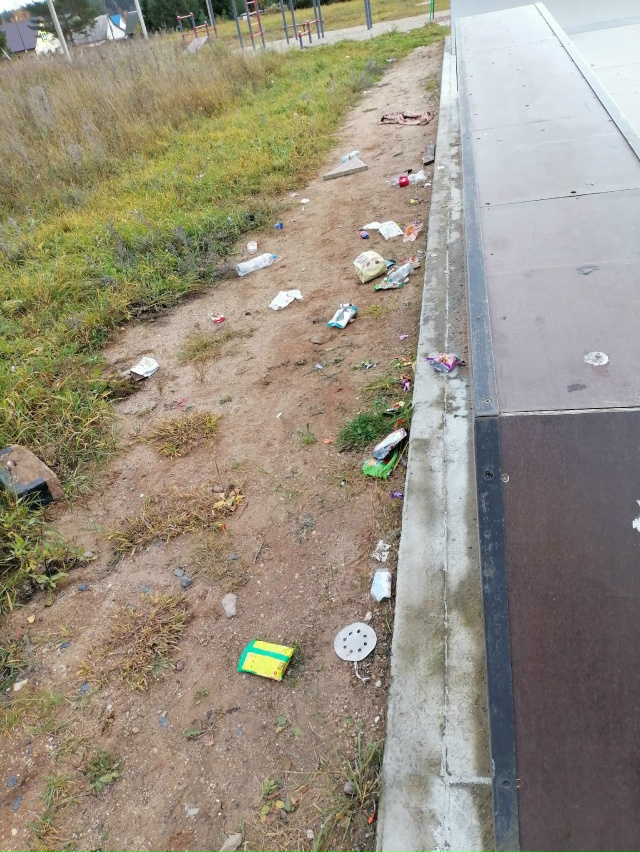 Посмотрите, дорогие родители, во что превратили дети с?...