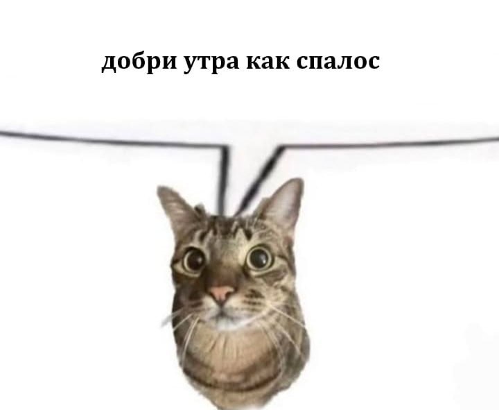 Утренняя подборочка