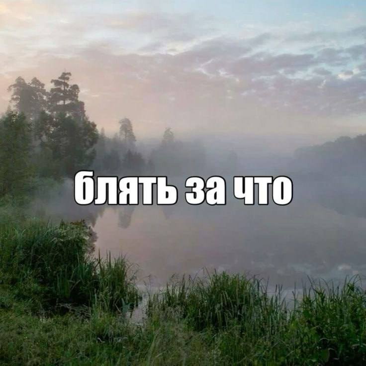 Когда осознала, что вот она та самая взрослая жизнь, которую ты ждала все детство, но чипсы, сухарик