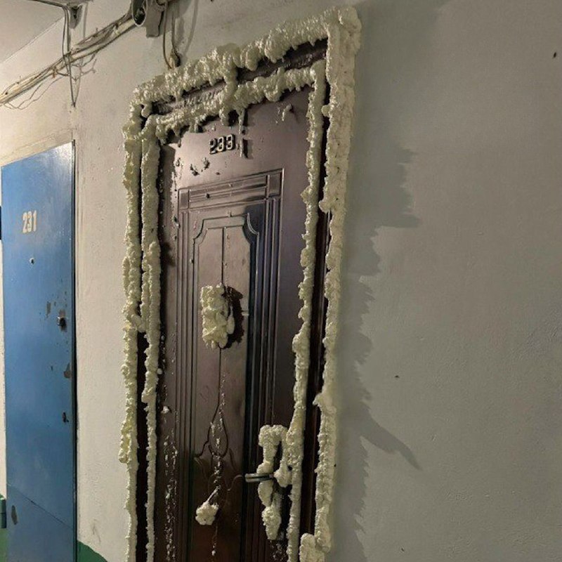 В Кемерово жильцы дома запенили дверь одной из квартир, из которой ползли тараканы и другие насекомы