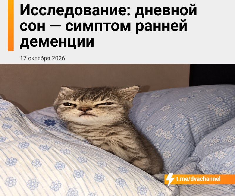 Привычка спать днём оказалась ранним признаком деменции — учёные обнаружили, что у людей, которые ре