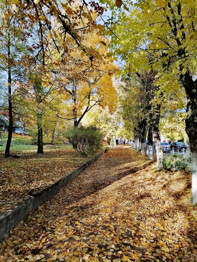 Золотая осень!