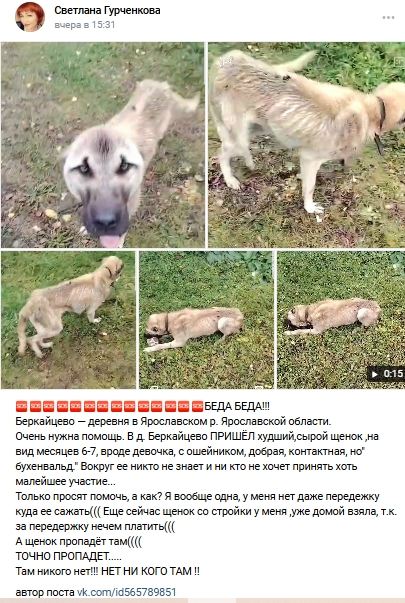 Пост добра. Распространите, пожалуйста.