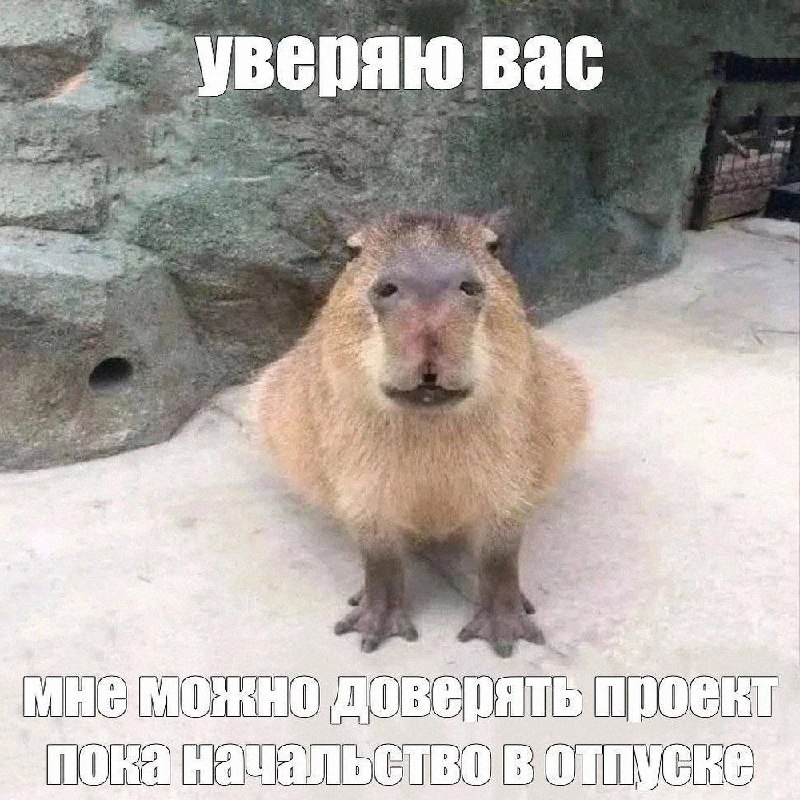 Утренняя подборочка