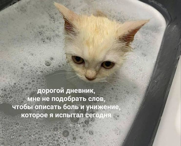 когда утро началось с того, что пришлось рано встать