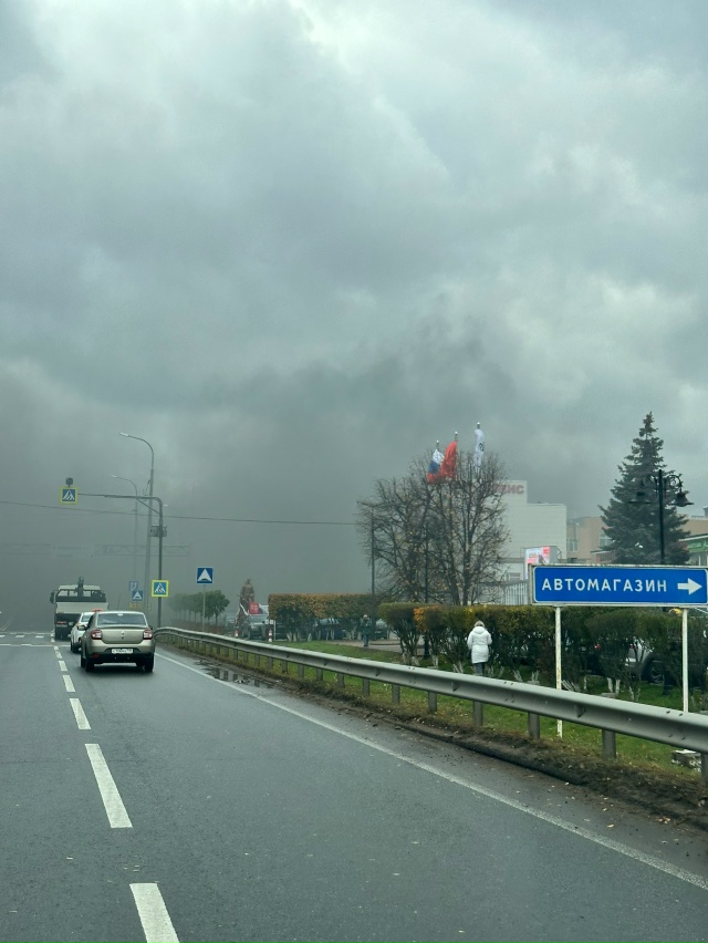 В пушкино дельфин горит