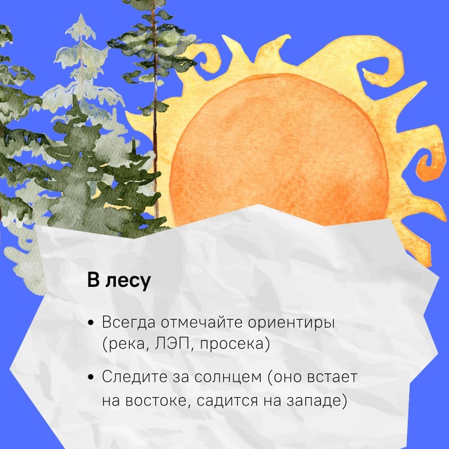 В Костромской области начали пропадать грибники…
Люб...