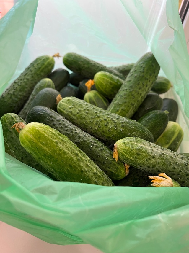Продаём огурцы! Сорт «Герман», сочные, вкусные.
Пишите ...