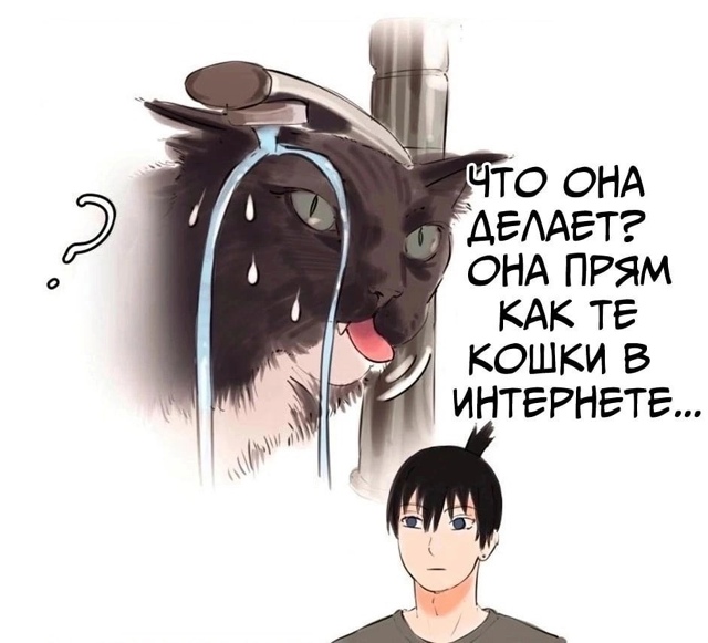 Забавно